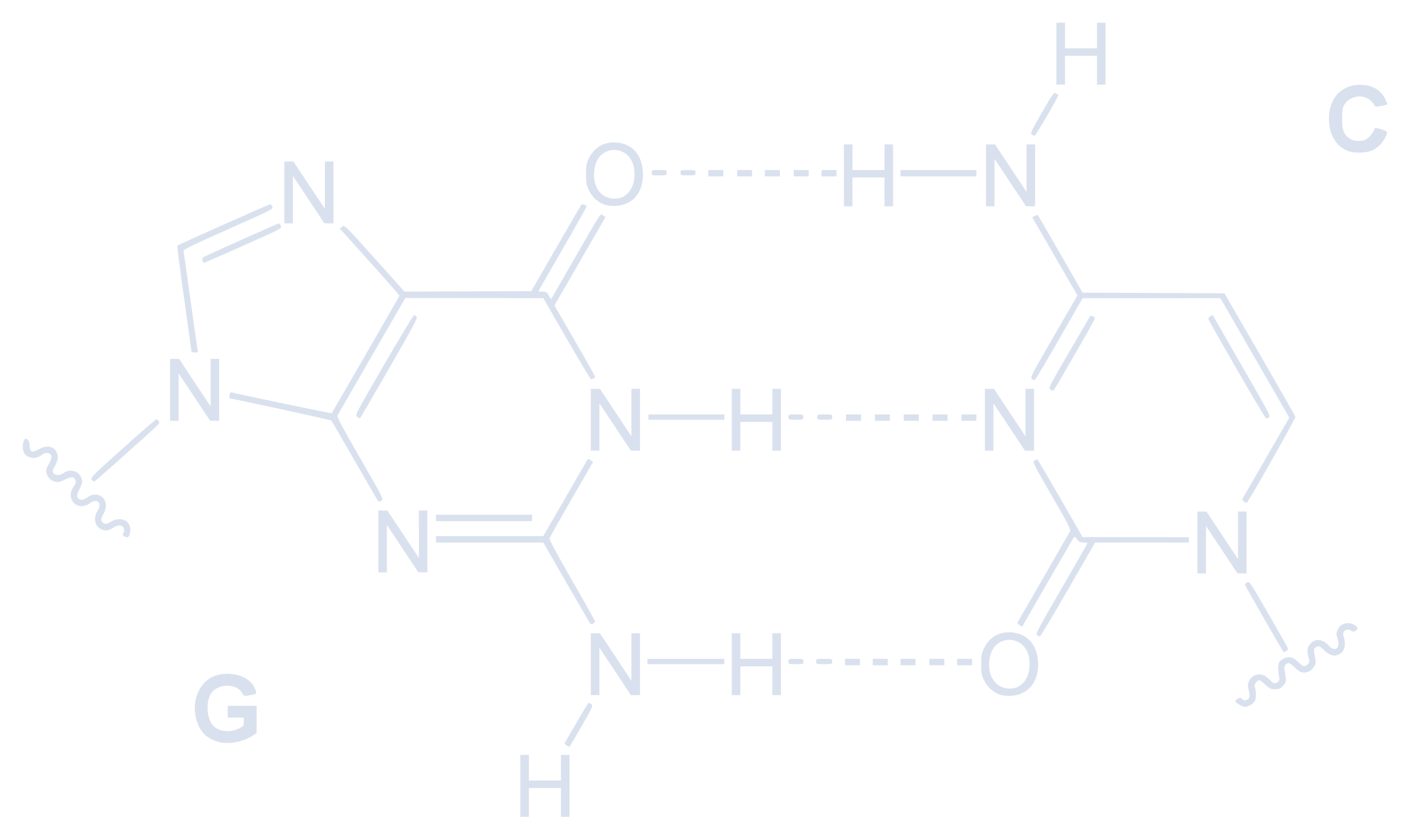 RNA Logo
