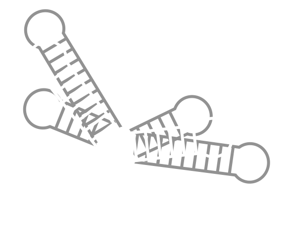 RNA Logo