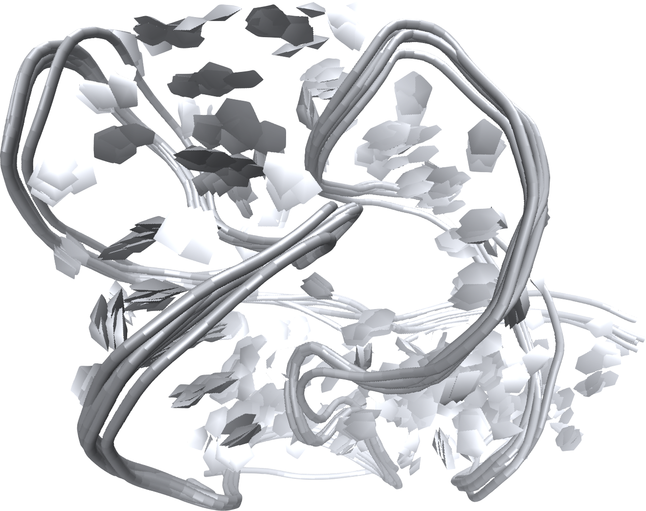RNA Logo